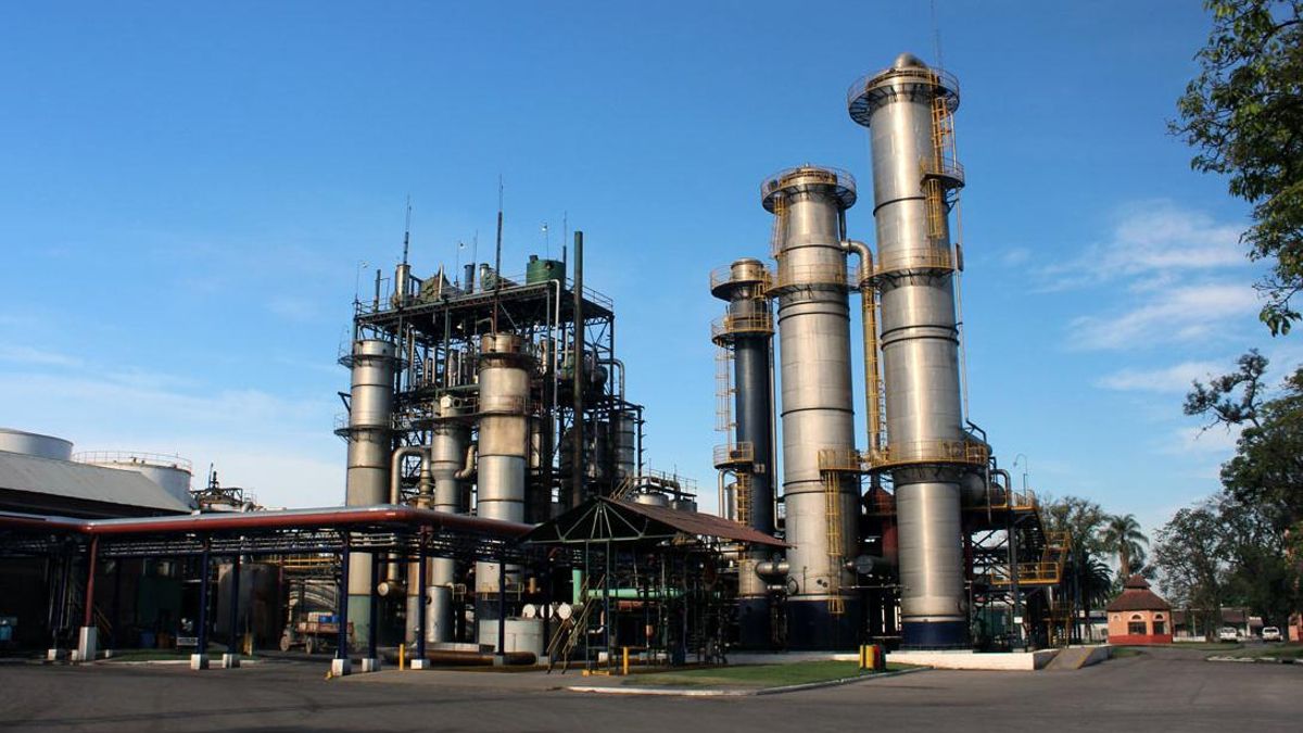 Lee más sobre el artículo Azúcar en el NOA: el dulce resurgir de una industria millonaria