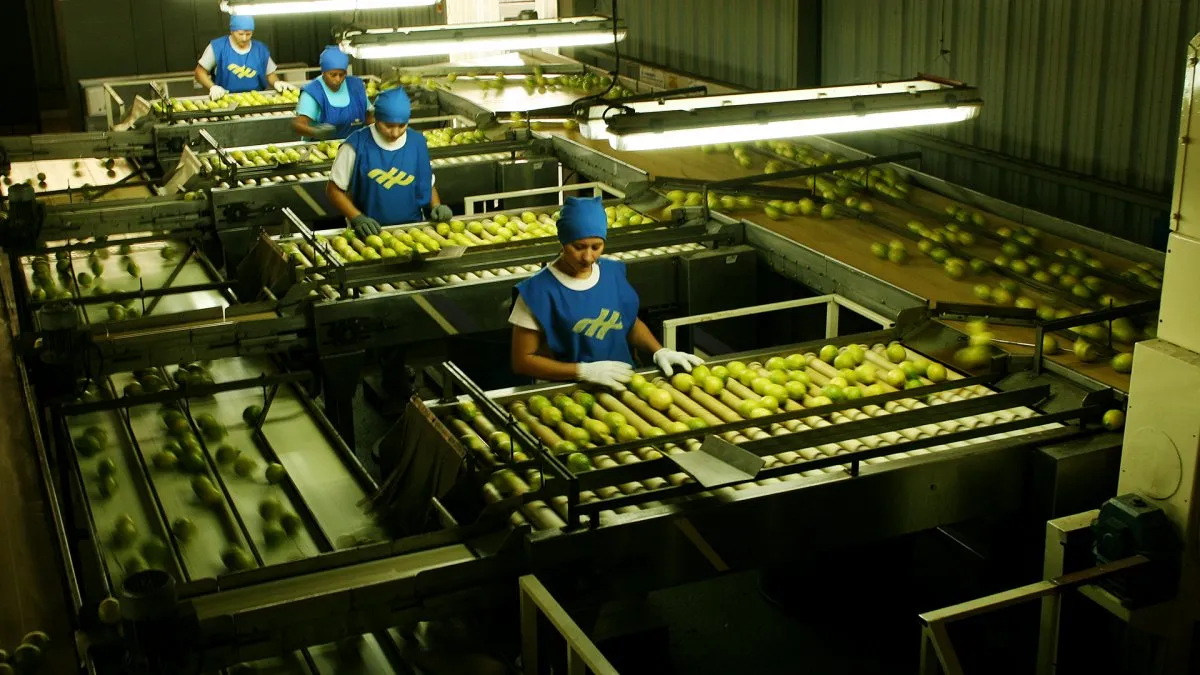 En este momento estás viendo Tucumán en el centro de la batalla por el mercado mundial del limón